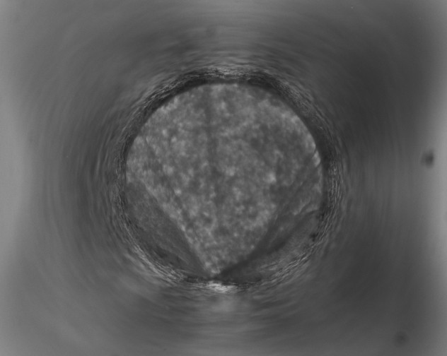 X0000115581009200912011434