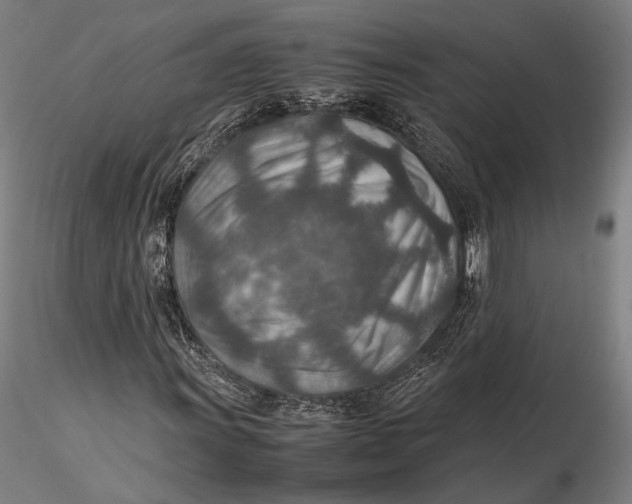 X0000115581011200912011434