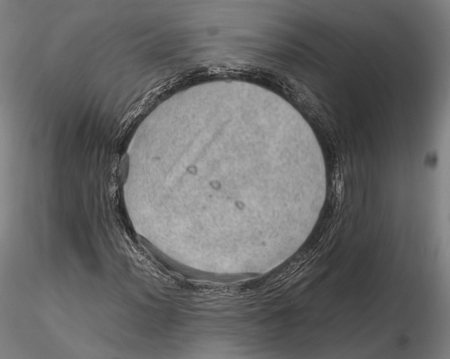 X0000115581012200912011434