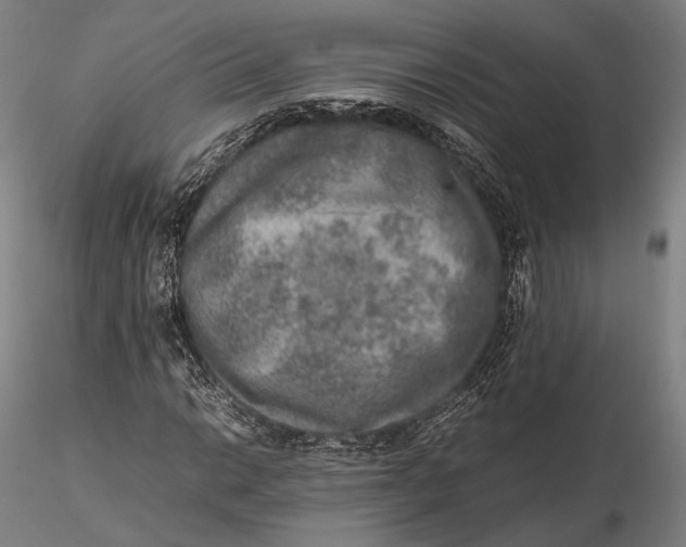 X0000115581014200912011434