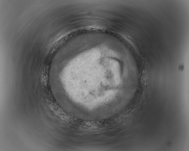 X0000115581015200912011434