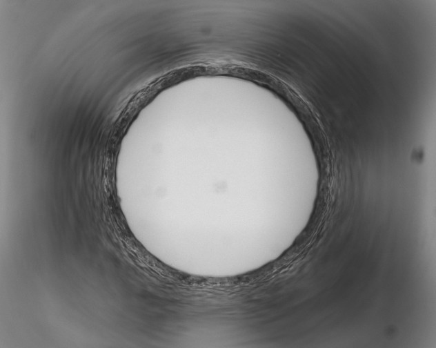 X0000115581016200912011434