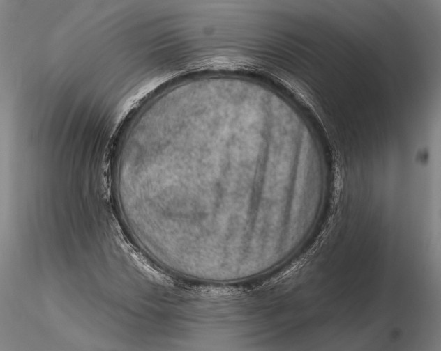 X0000115581018200912011434