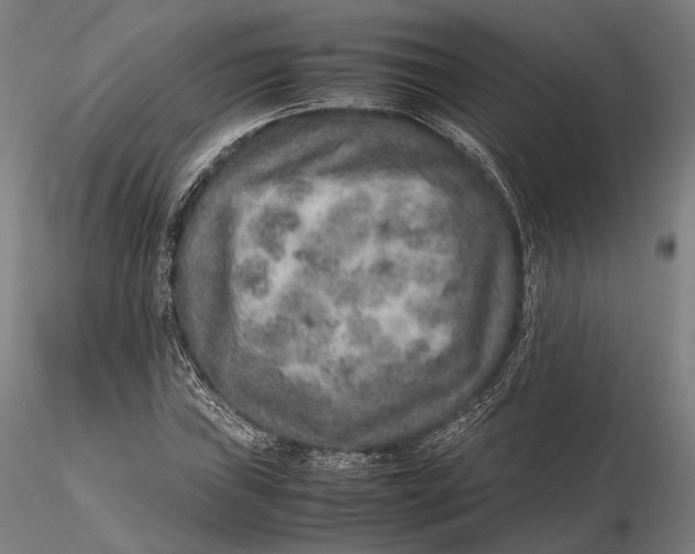 X0000115581019200912011434