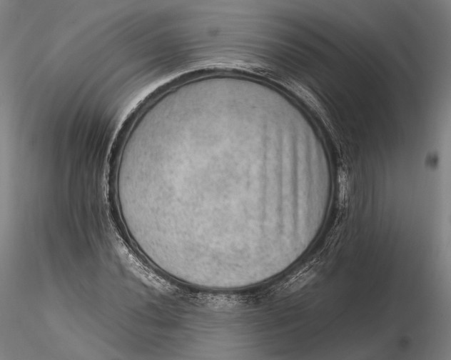 X0000115581020200912011434