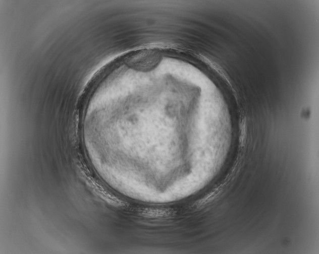 X0000115581021200912011434