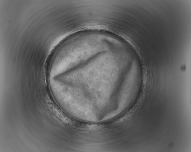 X0000115581022200912011434