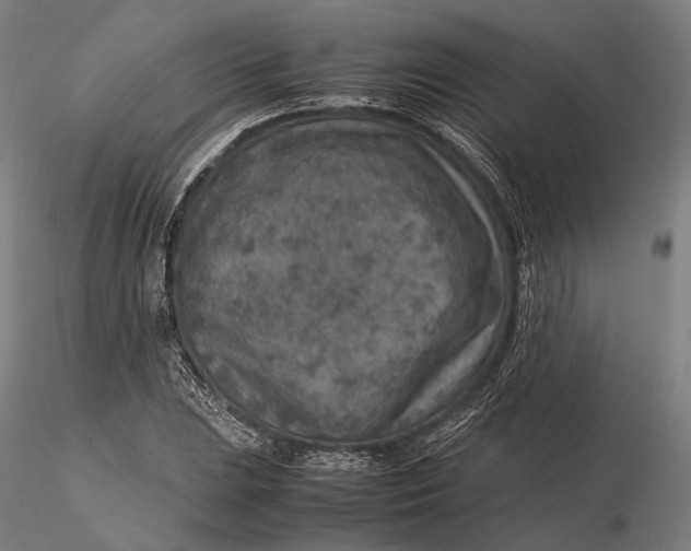 X0000115581023200912011434