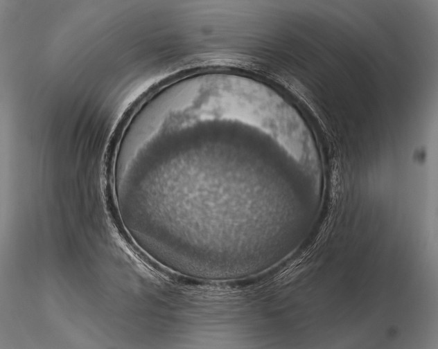 X0000115581024200912011434