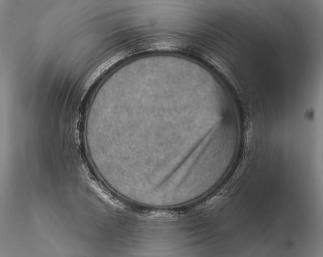 X0000115581026200912011434