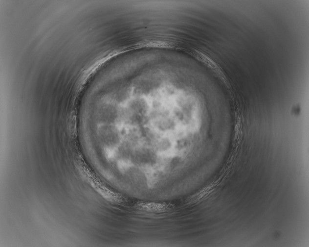 X0000115581027200912011434