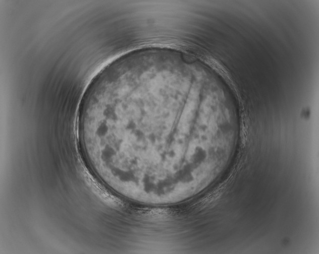 X0000115581028200912011434