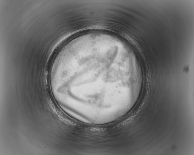 X0000115581029200912011434