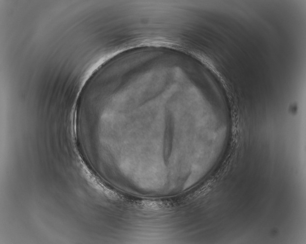 X0000115581032200912011434