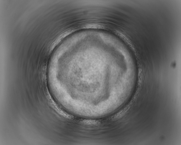 X0000115581033200912011434