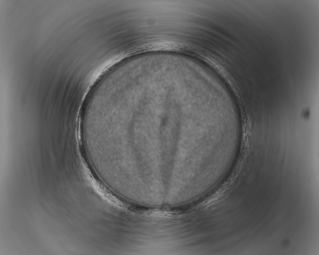 X0000115581034200912011434