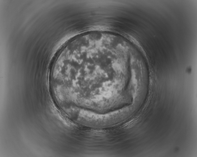 X0000115581035200912011434