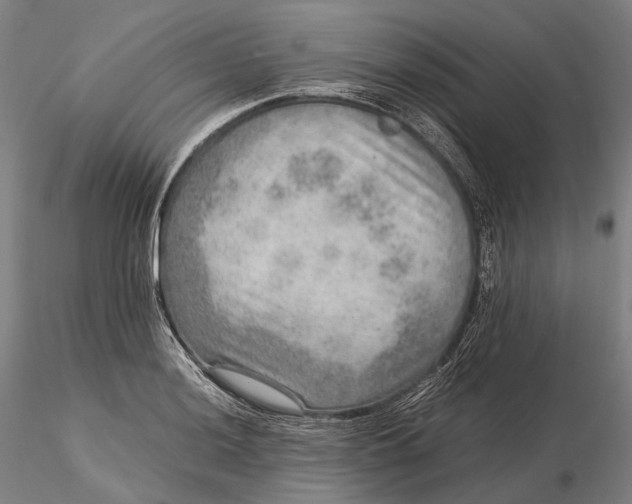 X0000115581036200912011434