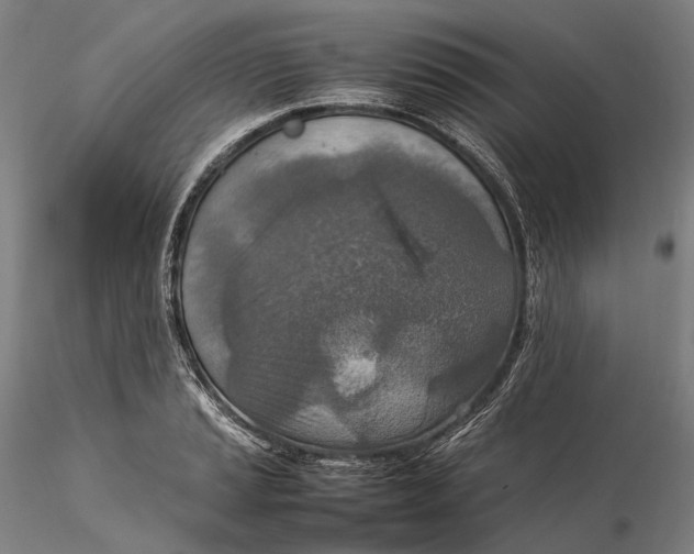 X0000115581037200912011434