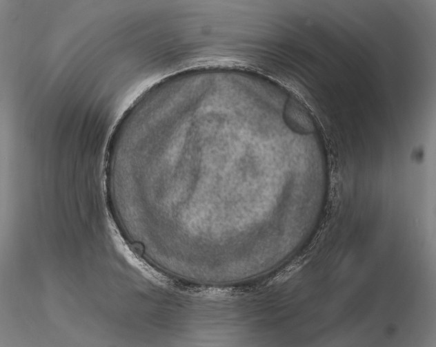 X0000115581038200912011434