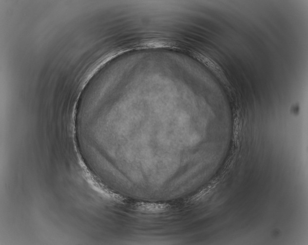 X0000115581039200912011434