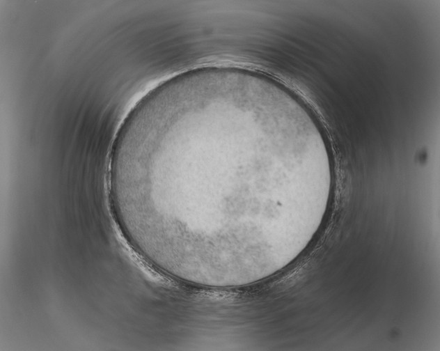 X0000115581040200912011434