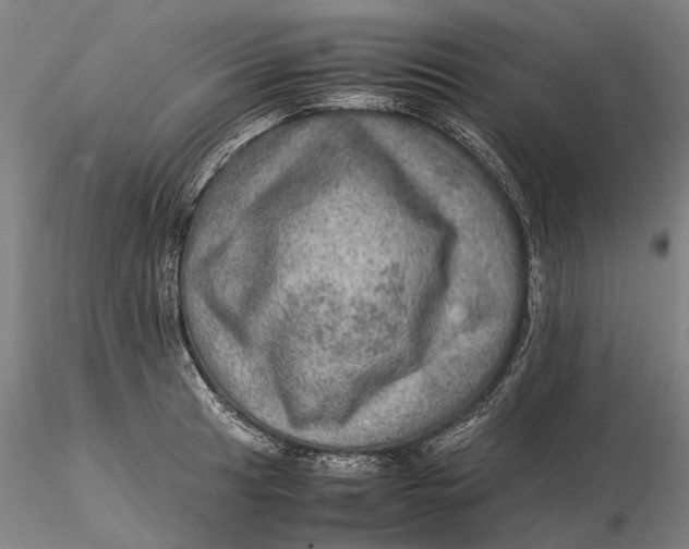 X0000115581041200912011434