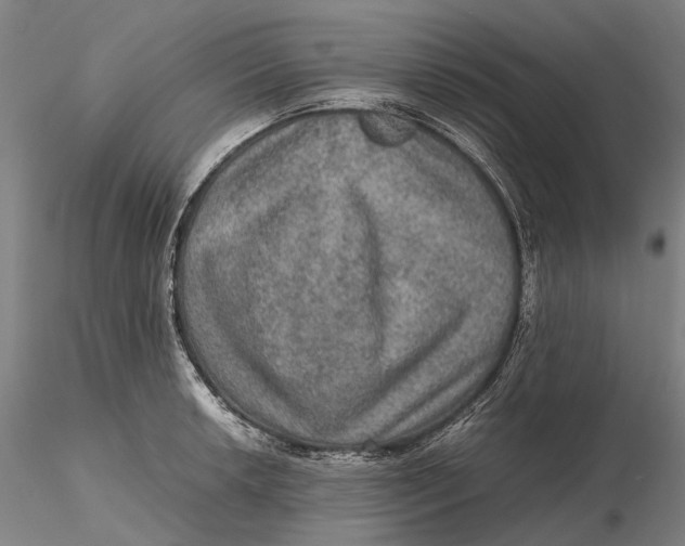 X0000115581042200912011434