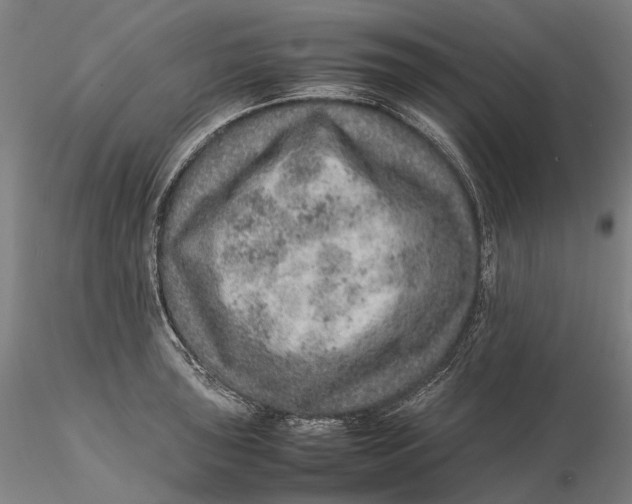 X0000115581043200912011434