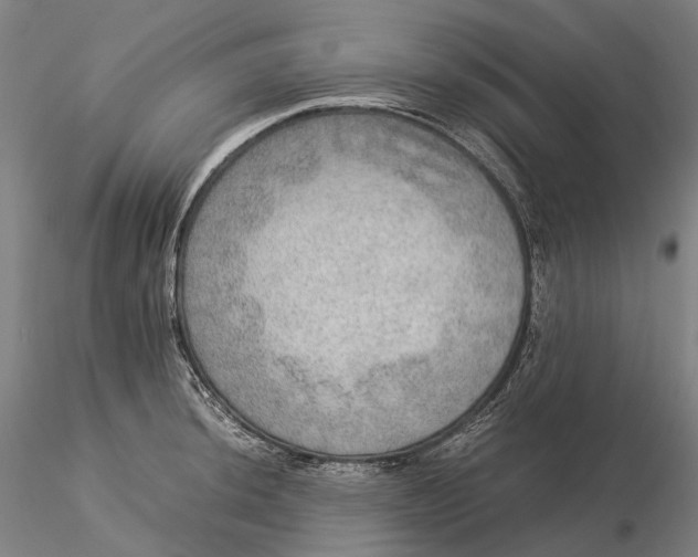 X0000115581044200912011434