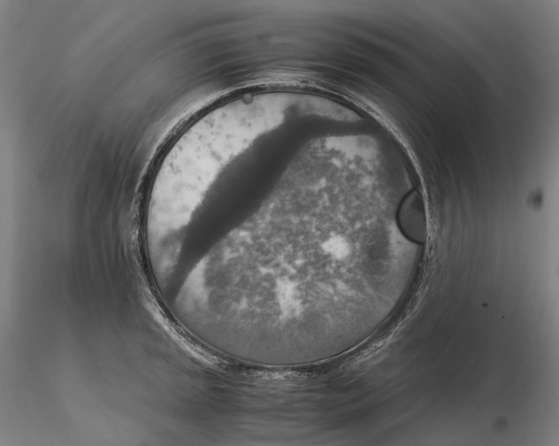 X0000115581045200912011434