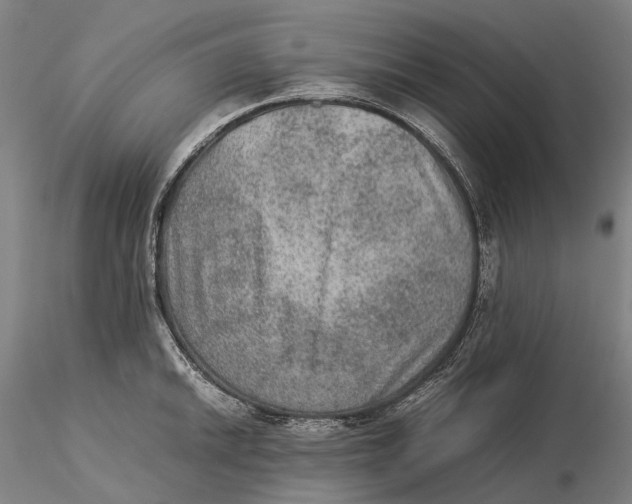 X0000115581046200912011434