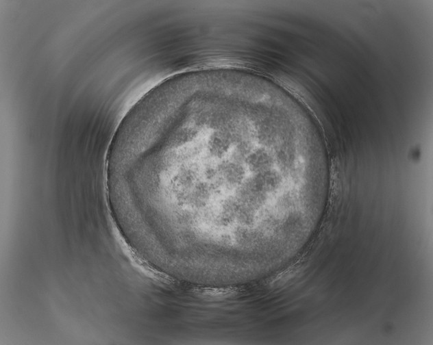 X0000115581047200912011434