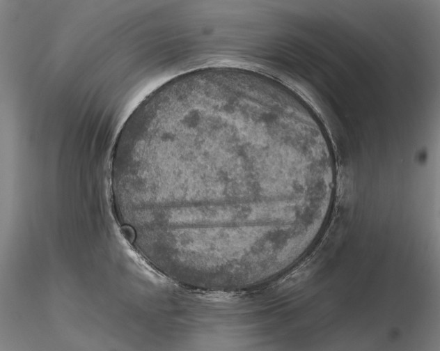 X0000115581048200912011434