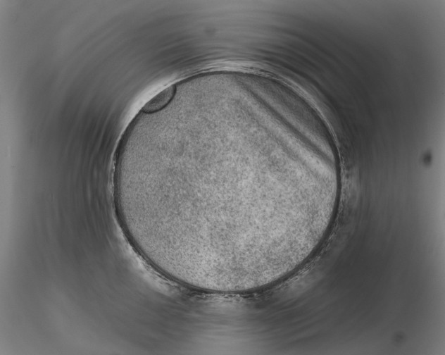 X0000115581050200912011434