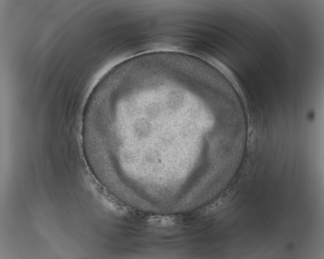 X0000115581051200912011434