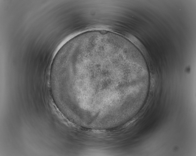 X0000115581052200912011434