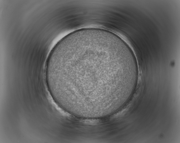 X0000115581053200912011434