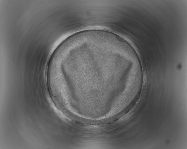 X0000115581054200912011434