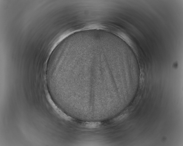 X0000115581055200912011434