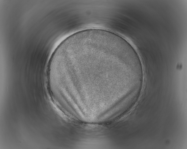 X0000115581056200912011434