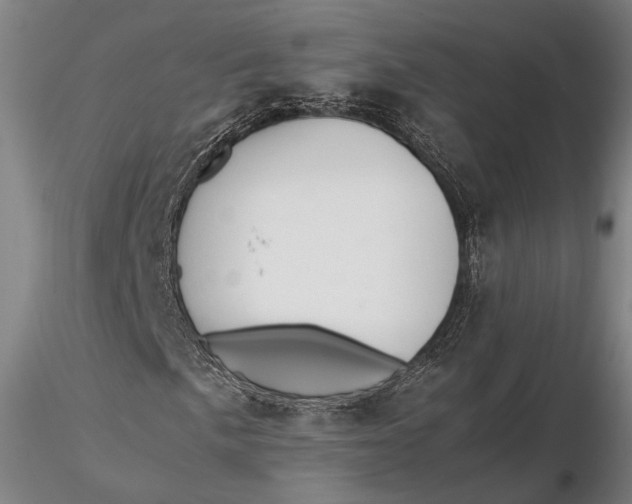 X0000115581057200912011434