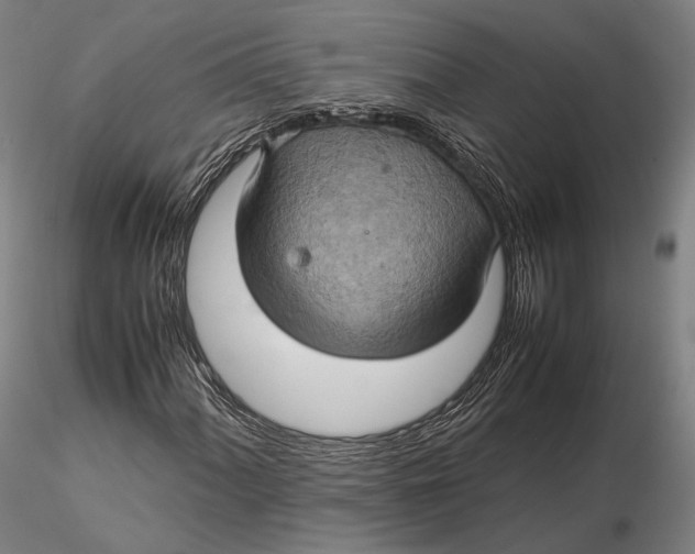 X0000115581060200912011434