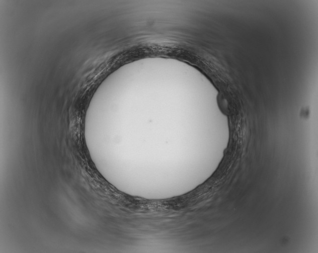 X0000115581061200912011434