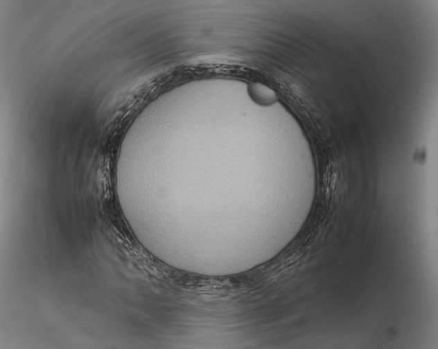 X0000115581062200912011434