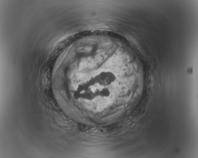 X0000115581063200912011434