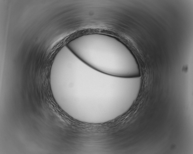 X0000115581064200912011434