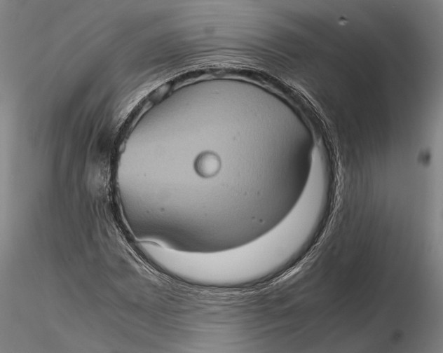 X0000115581065200912011434