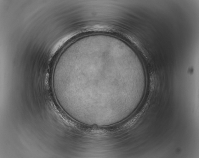 X0000115581066200912011434