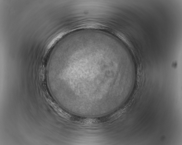 X0000115581067200912011433